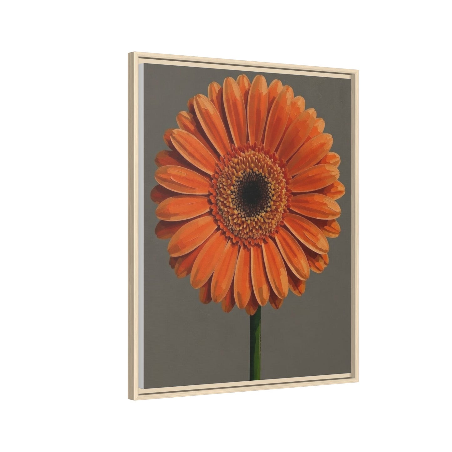 Orange Gerbera Daisy Matte Canvas Print (Framed)