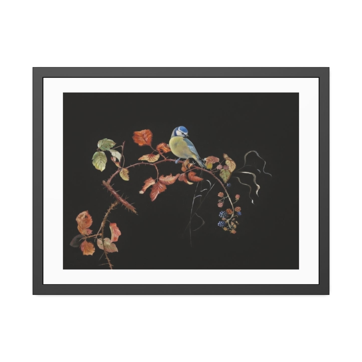 Framed Bird Print Poster — Vintage Botanical Bird Illustration on Black