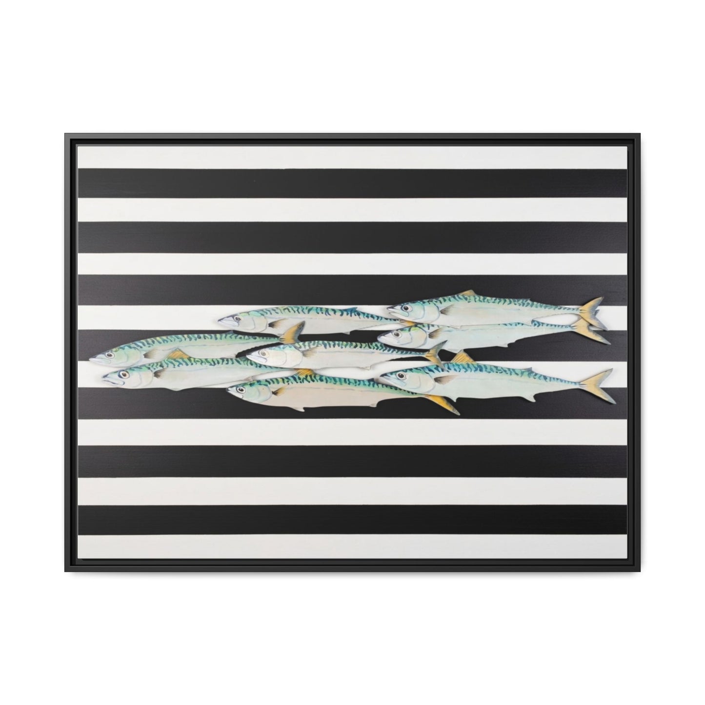 Striped Mackerel Canvas Print — Framed Matte Fish Wall Art