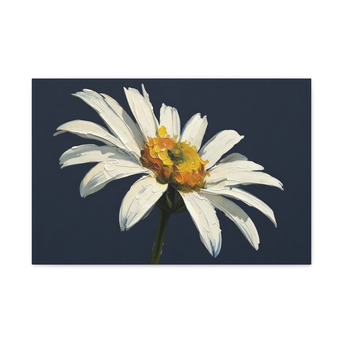 Daisy Oil-Paint Canvas Wall Art — Stretched Matte Floral Print