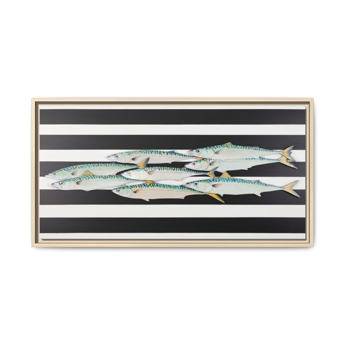 Striped Mackerel Canvas Print — Framed Matte Fish Wall Art
