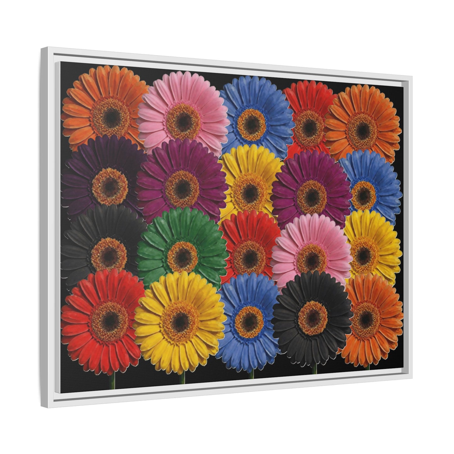 Framed Matte Canvas - Rainbow Gerbera Daisy Wall Art