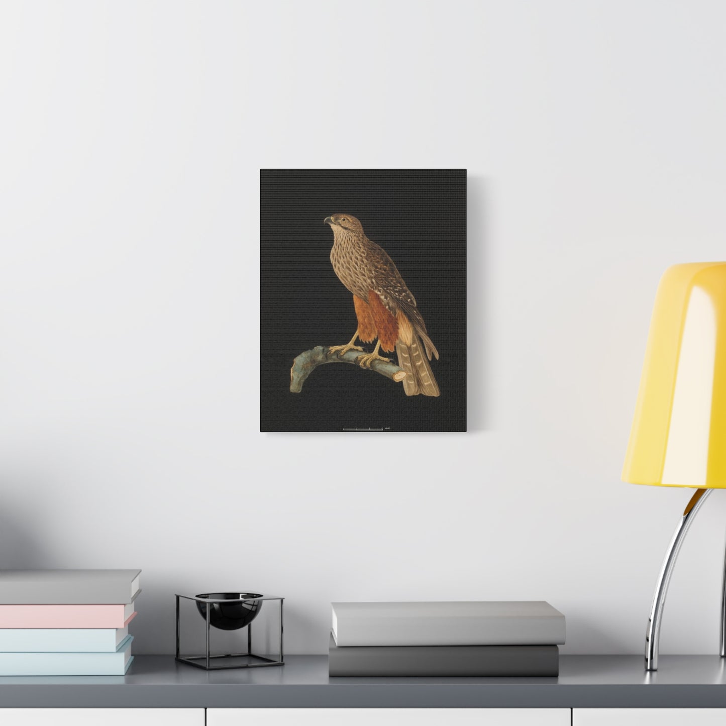Falcon Art Canvas Print — Matte Stretched Bird Illustration