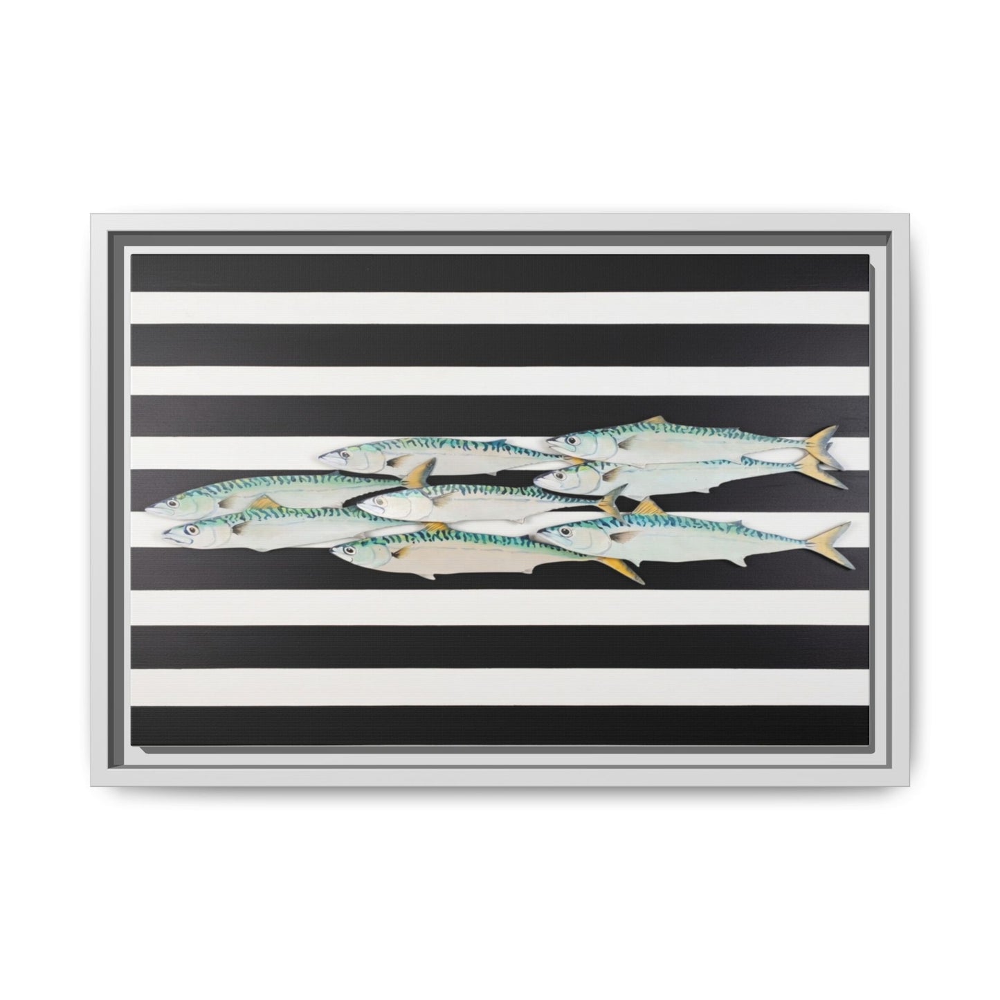 Striped Mackerel Canvas Print — Framed Matte Fish Wall Art