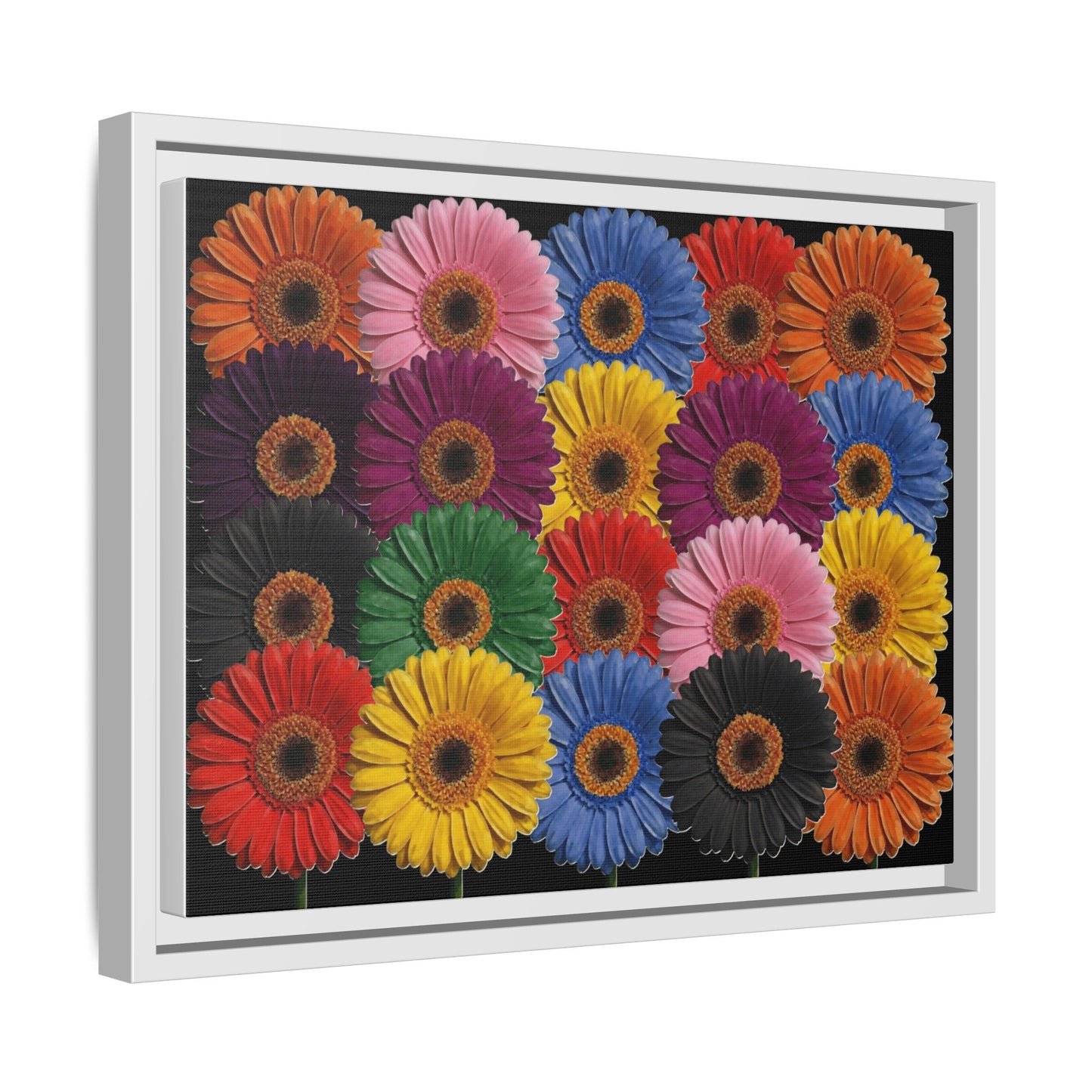 Framed Matte Canvas - Rainbow Gerbera Daisy Wall Art