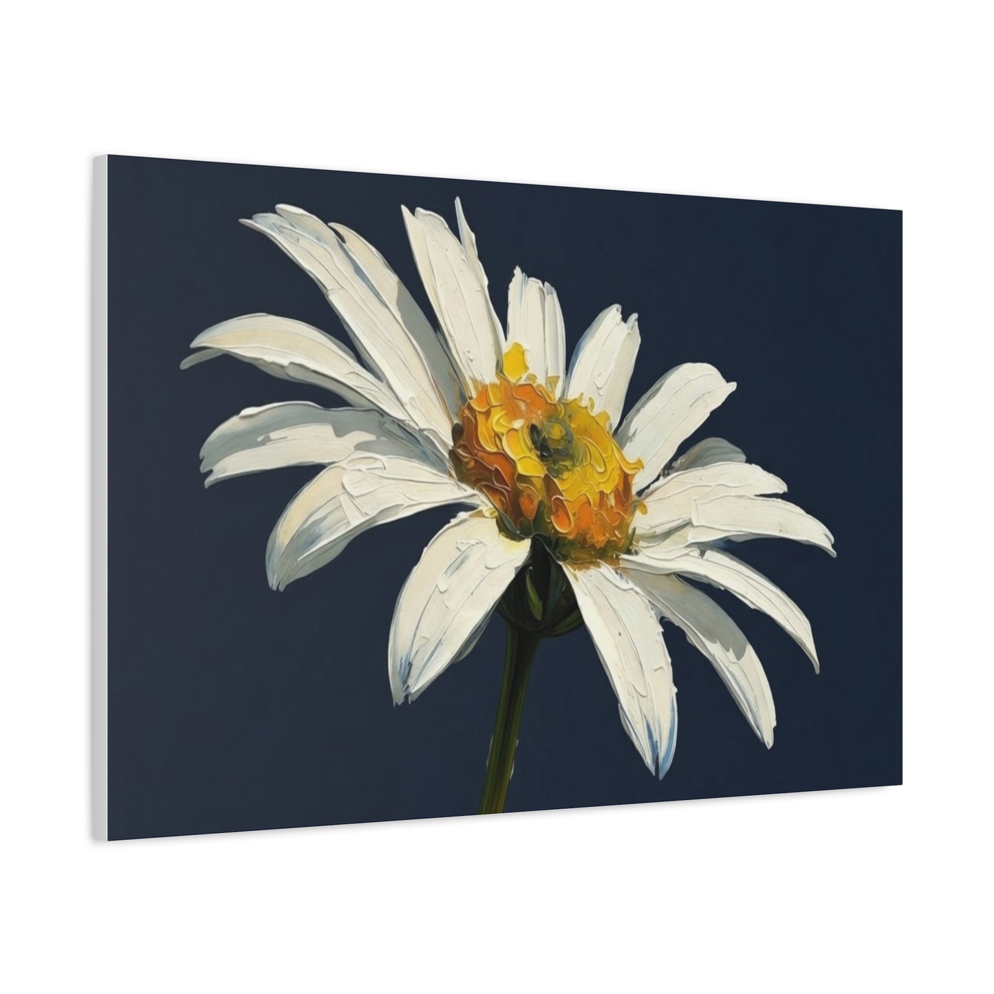Daisy Oil-Paint Canvas Wall Art — Stretched Matte Floral Print