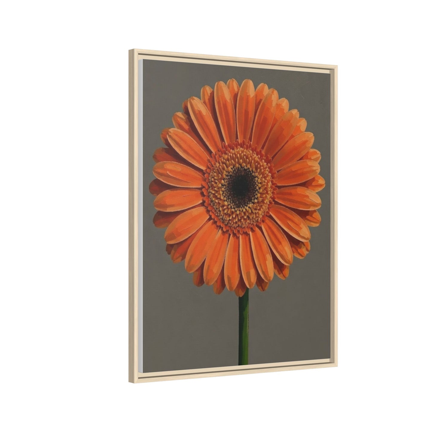 Orange Gerbera Daisy Matte Canvas Print (Framed)