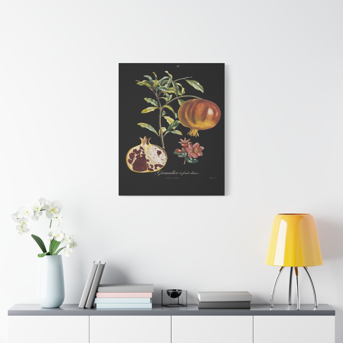 Pomegranate Botanical Canvas Print — Matte Stretched Wall Art