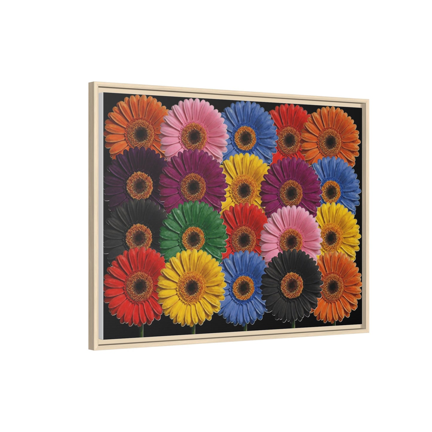 Framed Matte Canvas - Rainbow Gerbera Daisy Wall Art