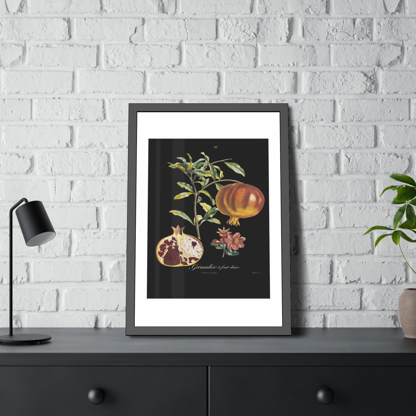 Pomegranate Botanical Framed Poster — Vintage Fruit Art Print