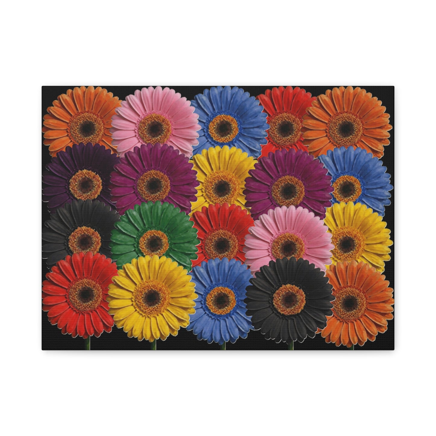 Colorful Gerbera Daisy Canvas Print — Vibrant Floral Wall Art