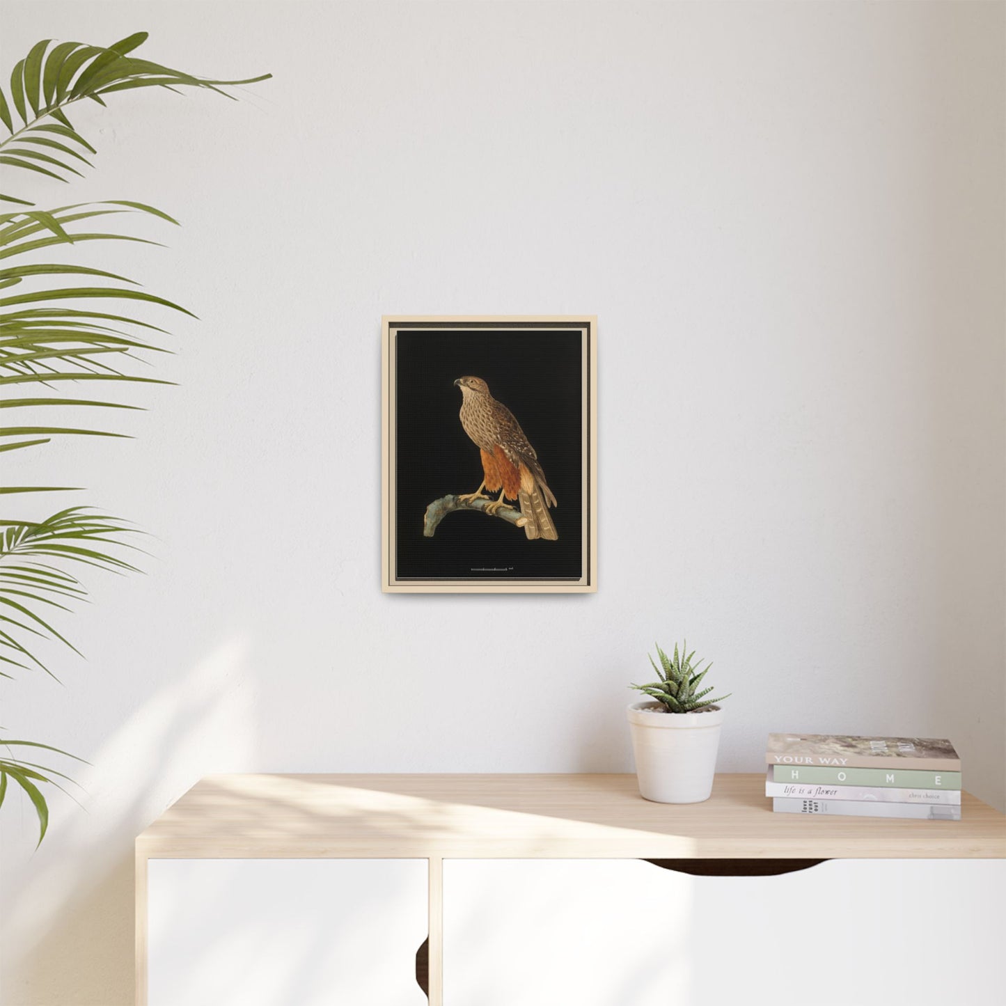 Framed Matte Canvas Print — Vintage Red-Shouldered Hawk Illustration