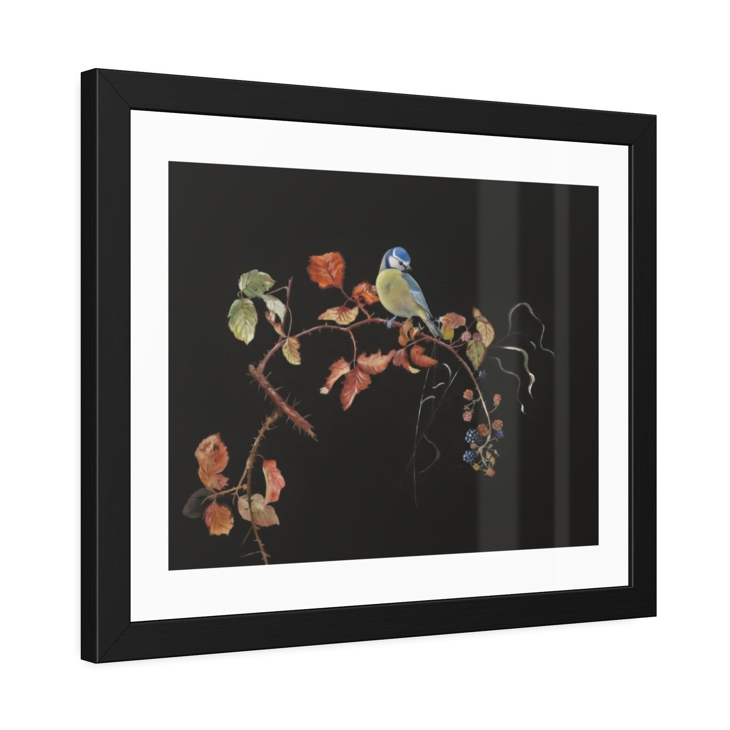 Framed Bird Print Poster — Vintage Botanical Bird Illustration on Black