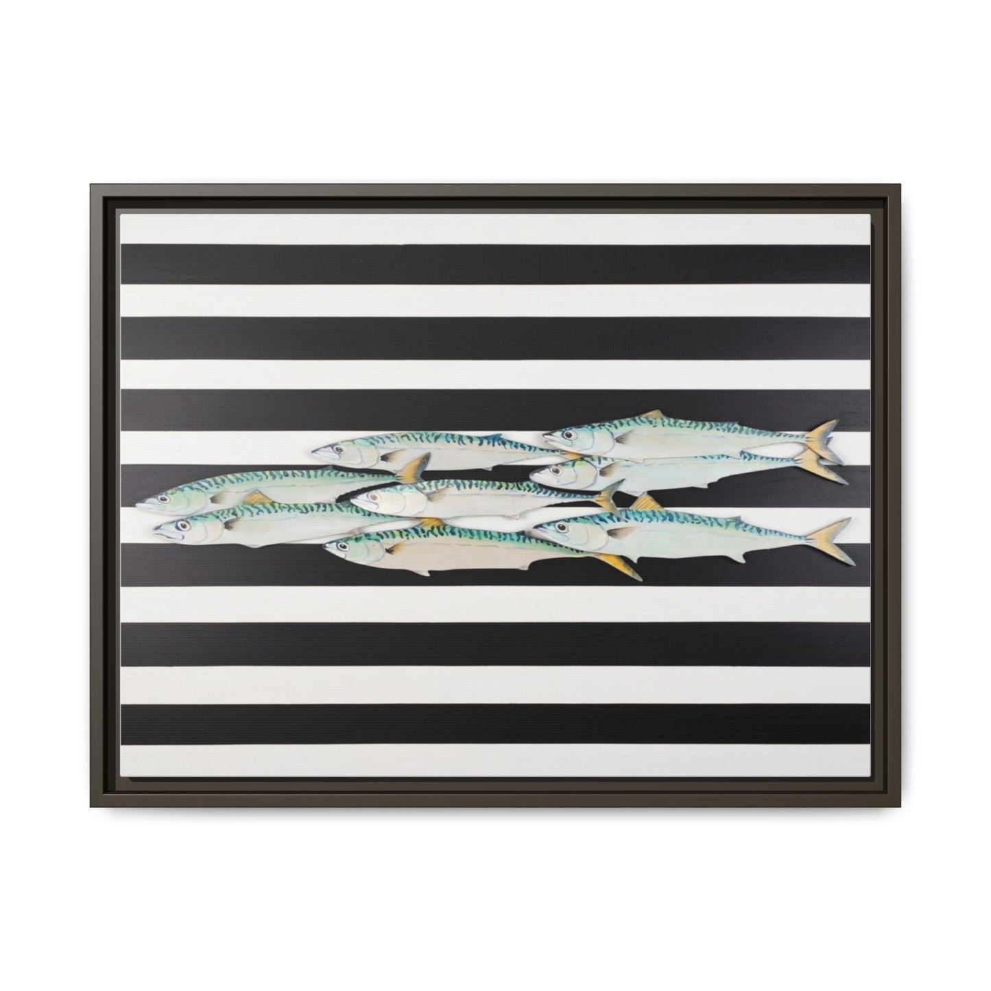 Striped Mackerel Canvas Print — Framed Matte Fish Wall Art
