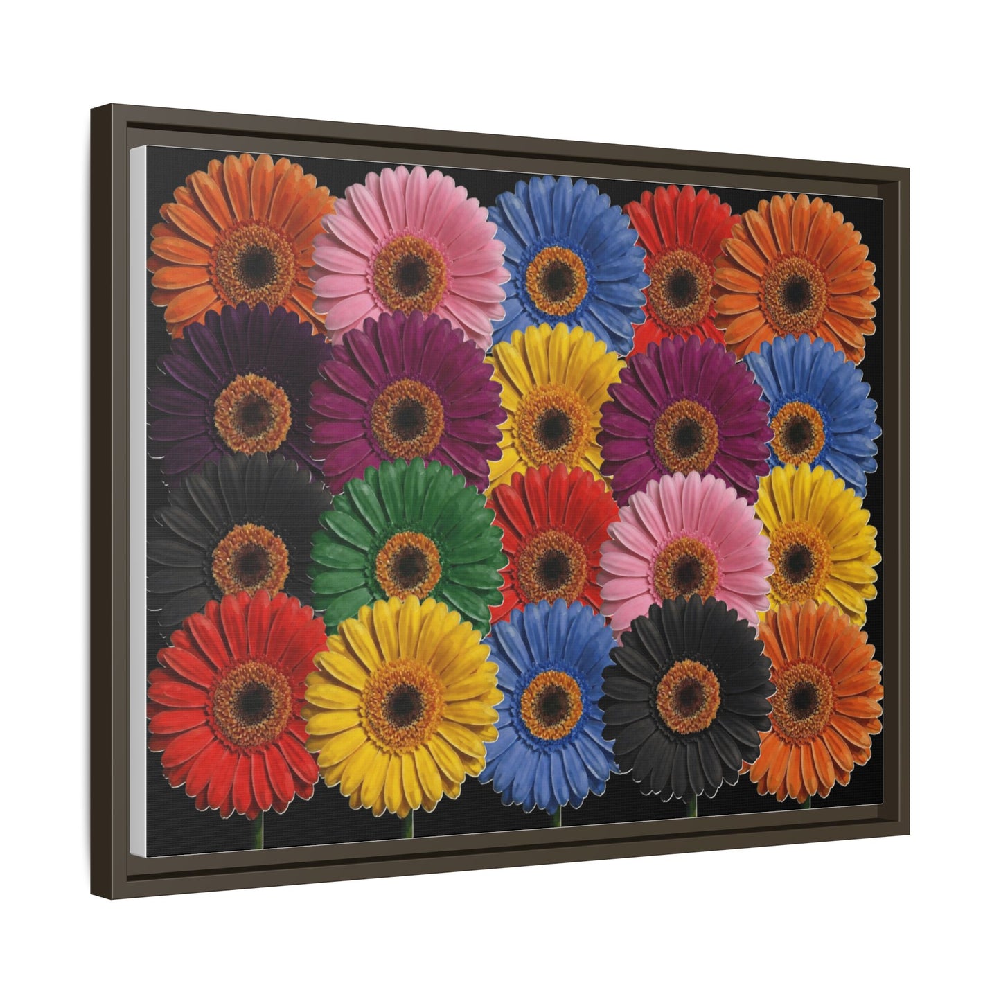 Framed Matte Canvas - Rainbow Gerbera Daisy Wall Art