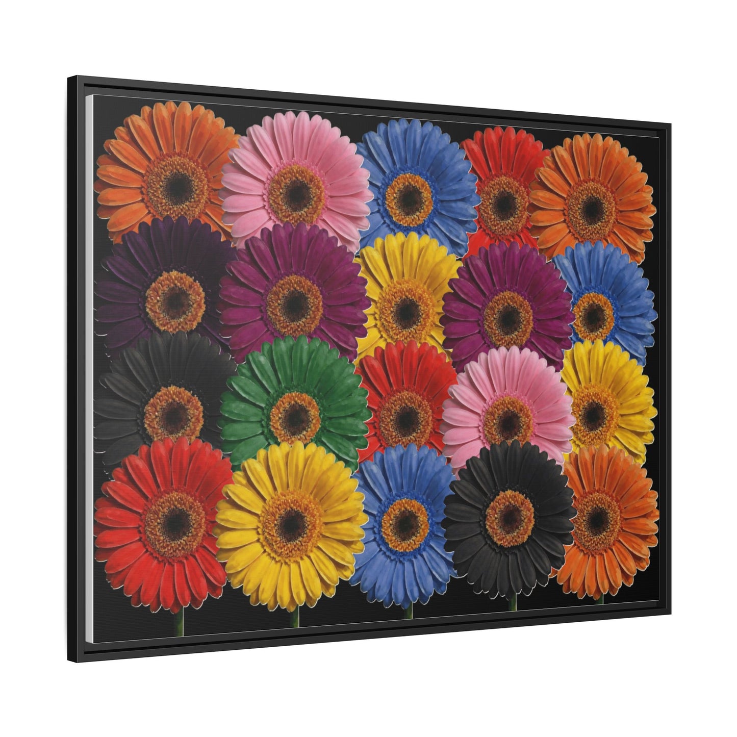 Framed Matte Canvas - Rainbow Gerbera Daisy Wall Art