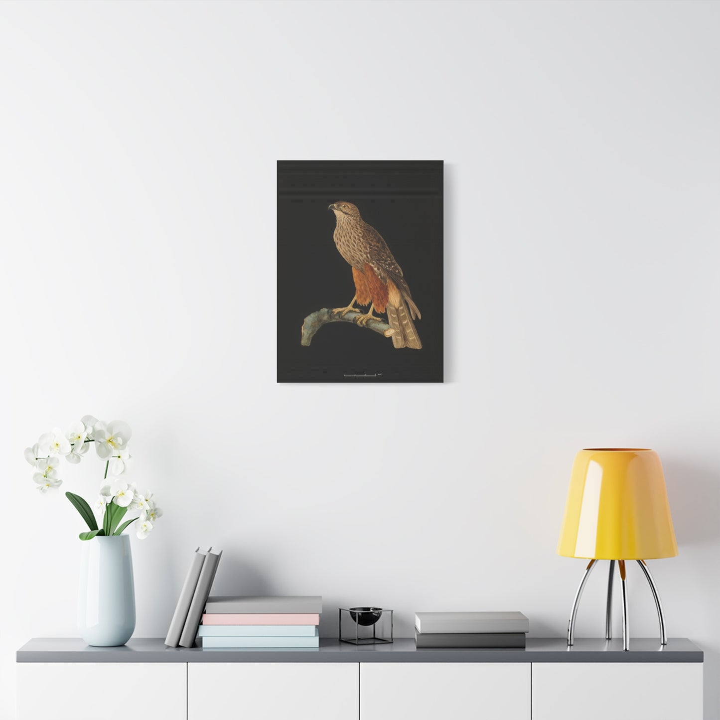 Falcon Art Canvas Print — Matte Stretched Bird Illustration