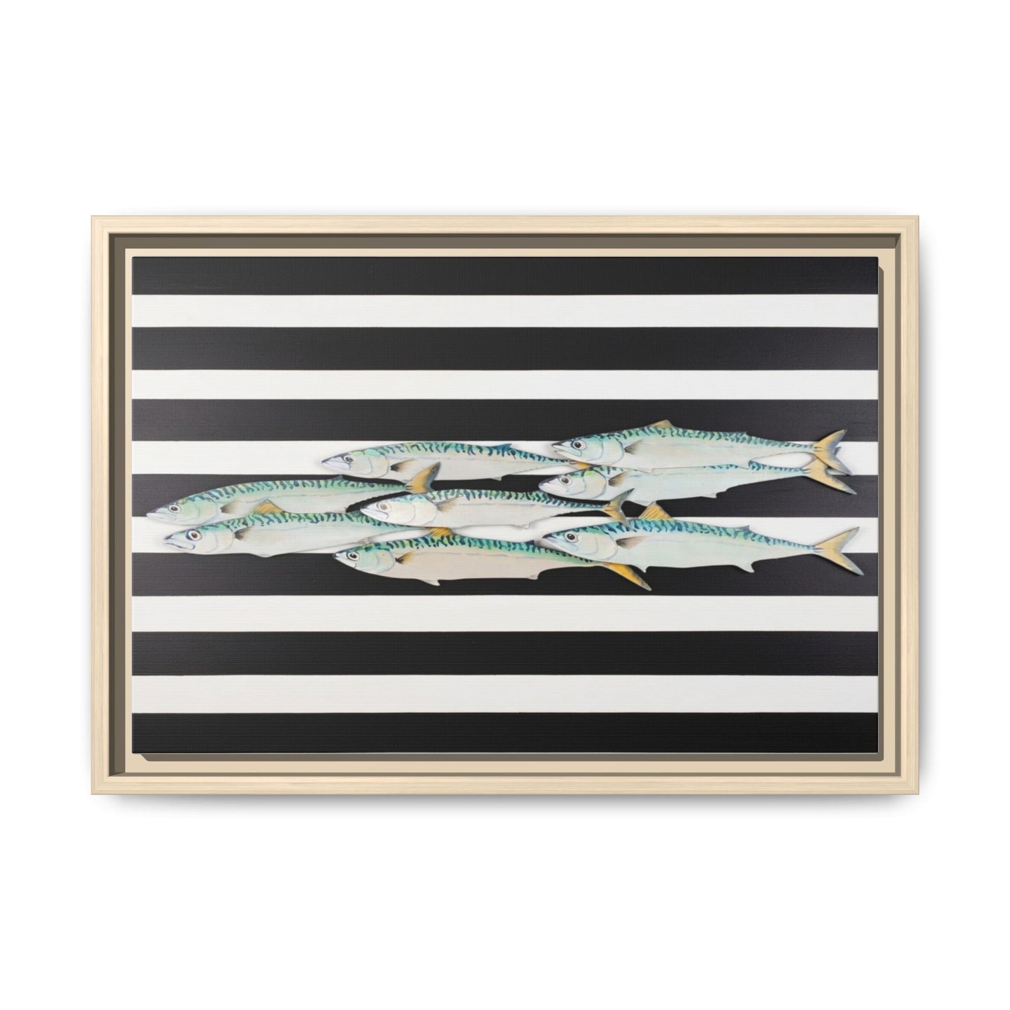 Striped Mackerel Canvas Print — Framed Matte Fish Wall Art