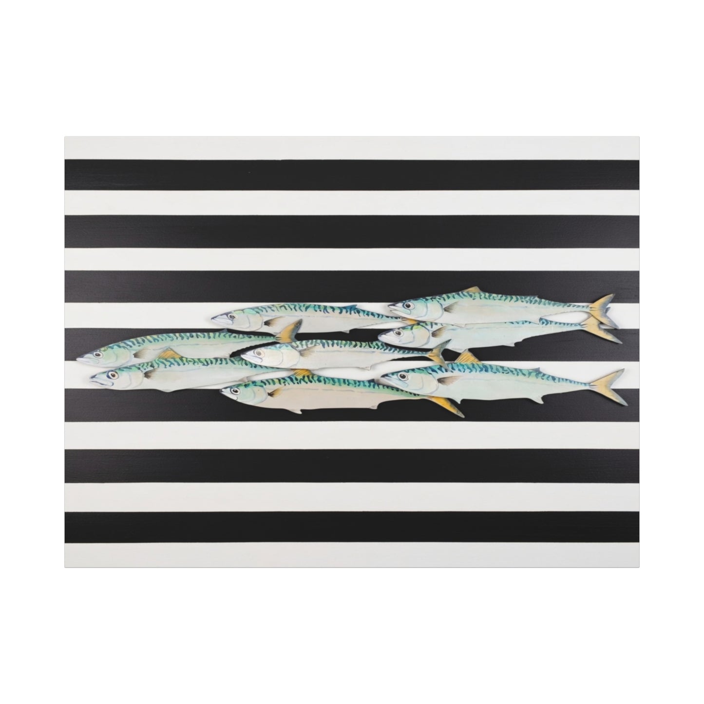 Striped Mackerel School Matte Canvas Print