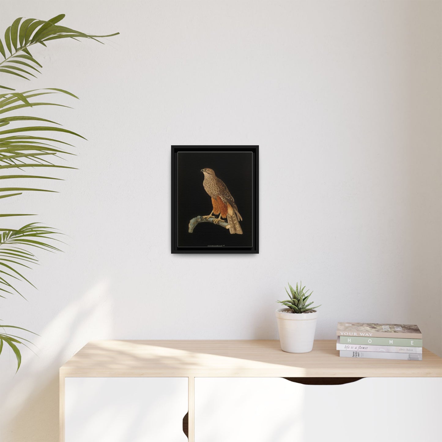 Framed Matte Canvas Print — Vintage Red-Shouldered Hawk Illustration