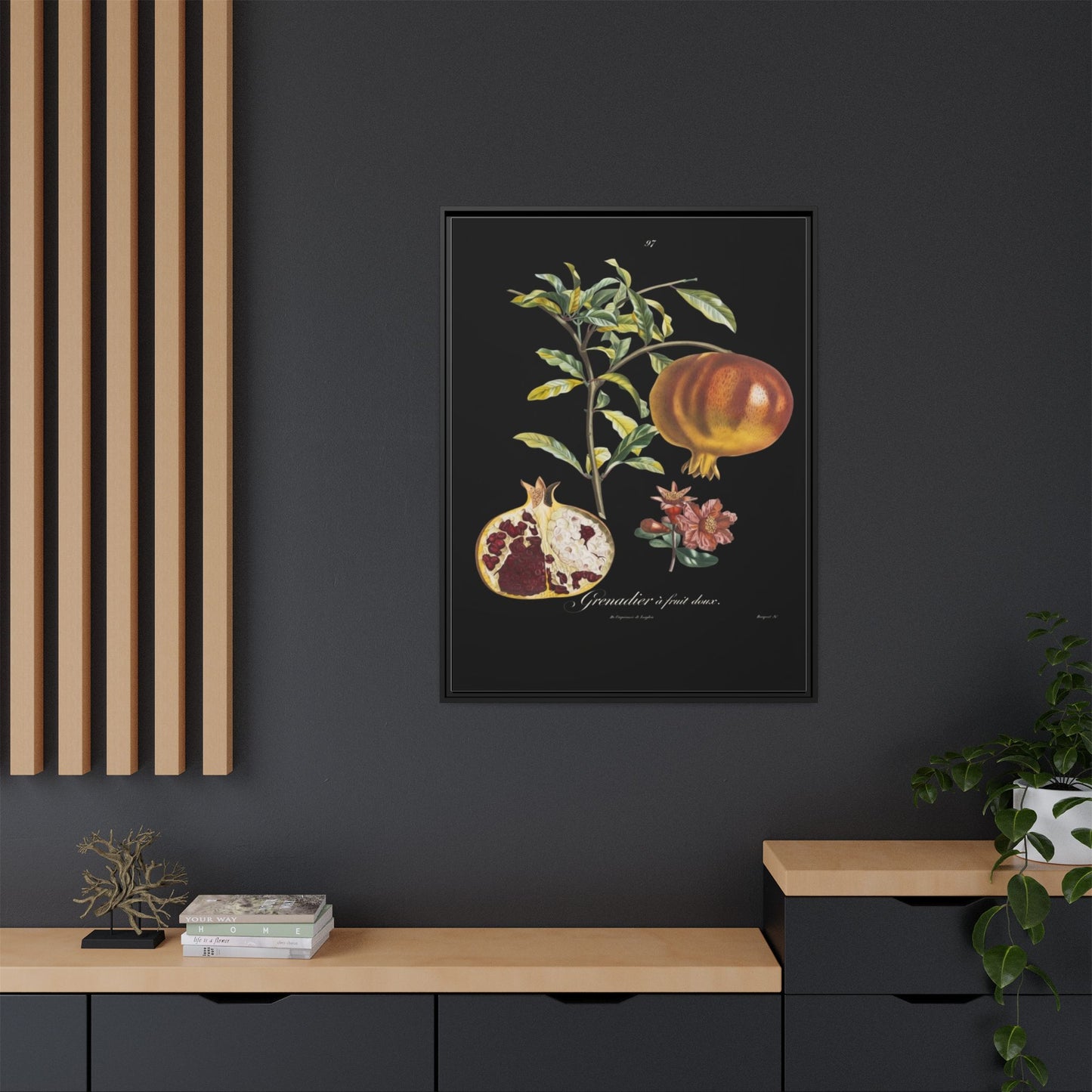 Pomegranate Botanical Framed Canvas Print — Vintage Fruit Wall Art