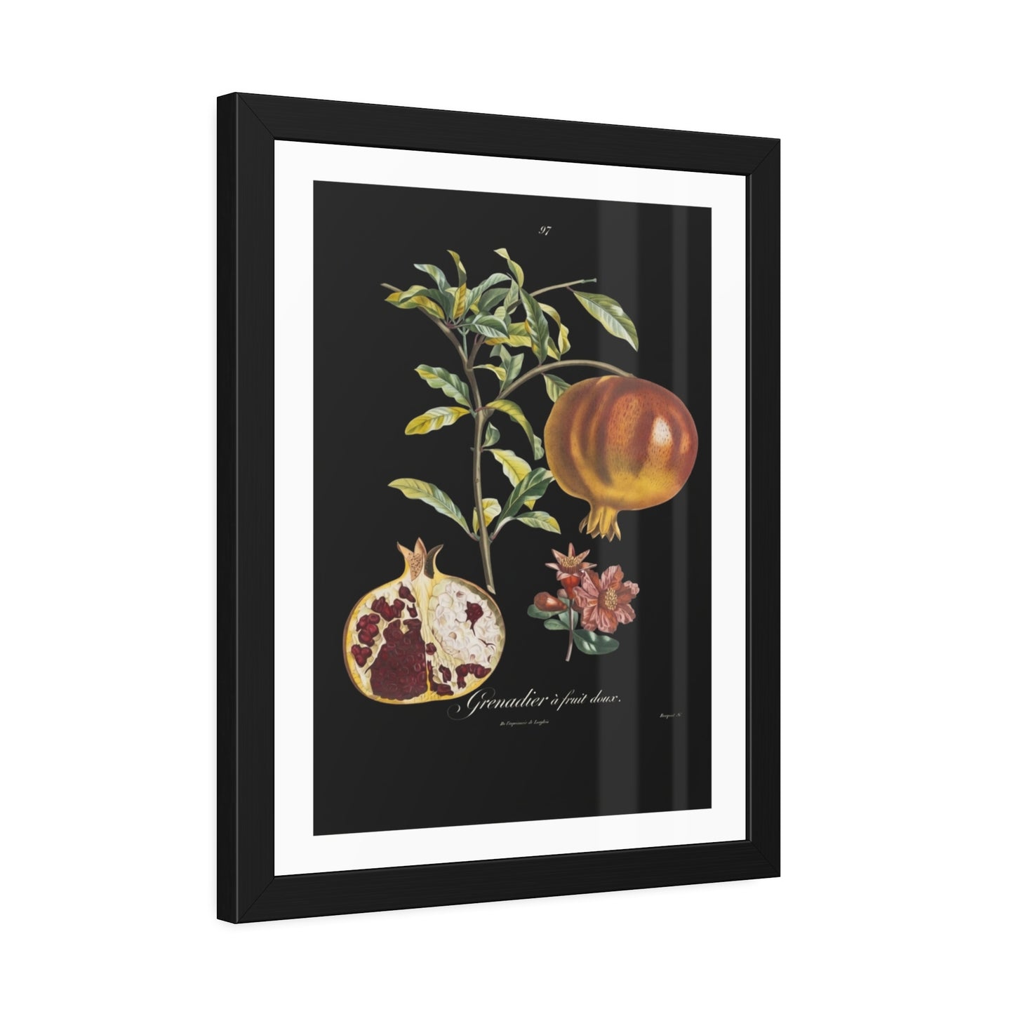 Pomegranate Botanical Framed Poster — Vintage Fruit Art Print