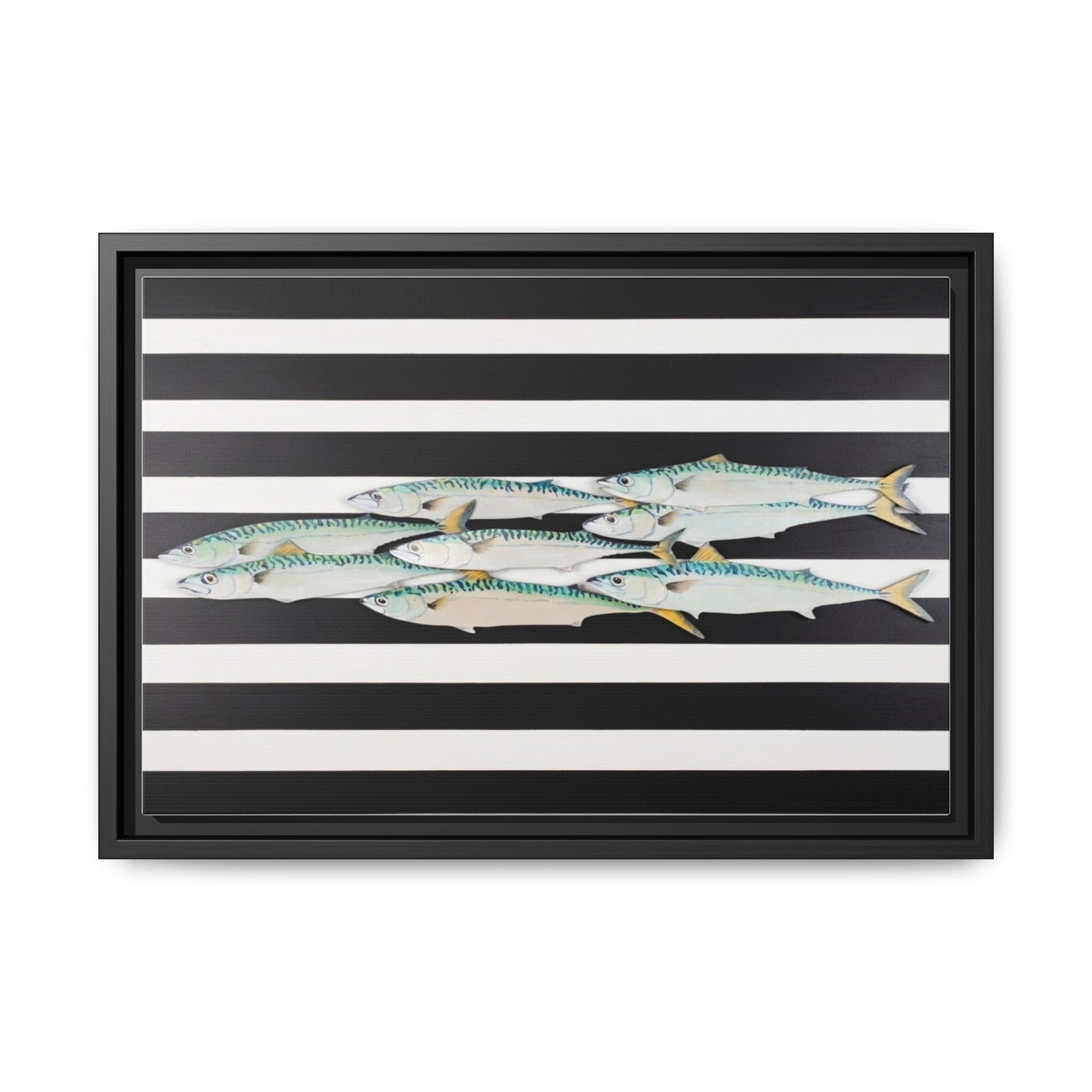 Striped Mackerel Canvas Print — Framed Matte Fish Wall Art