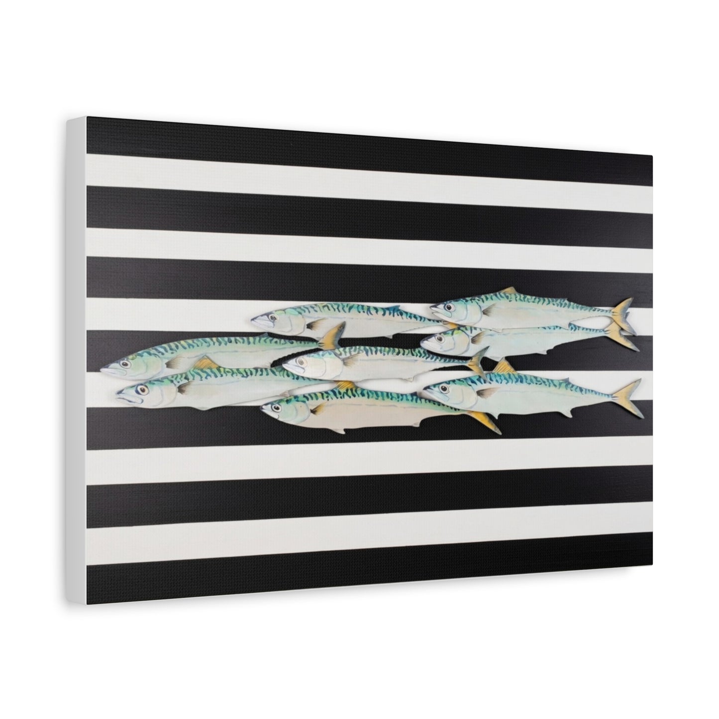 Striped Mackerel School Matte Canvas Print