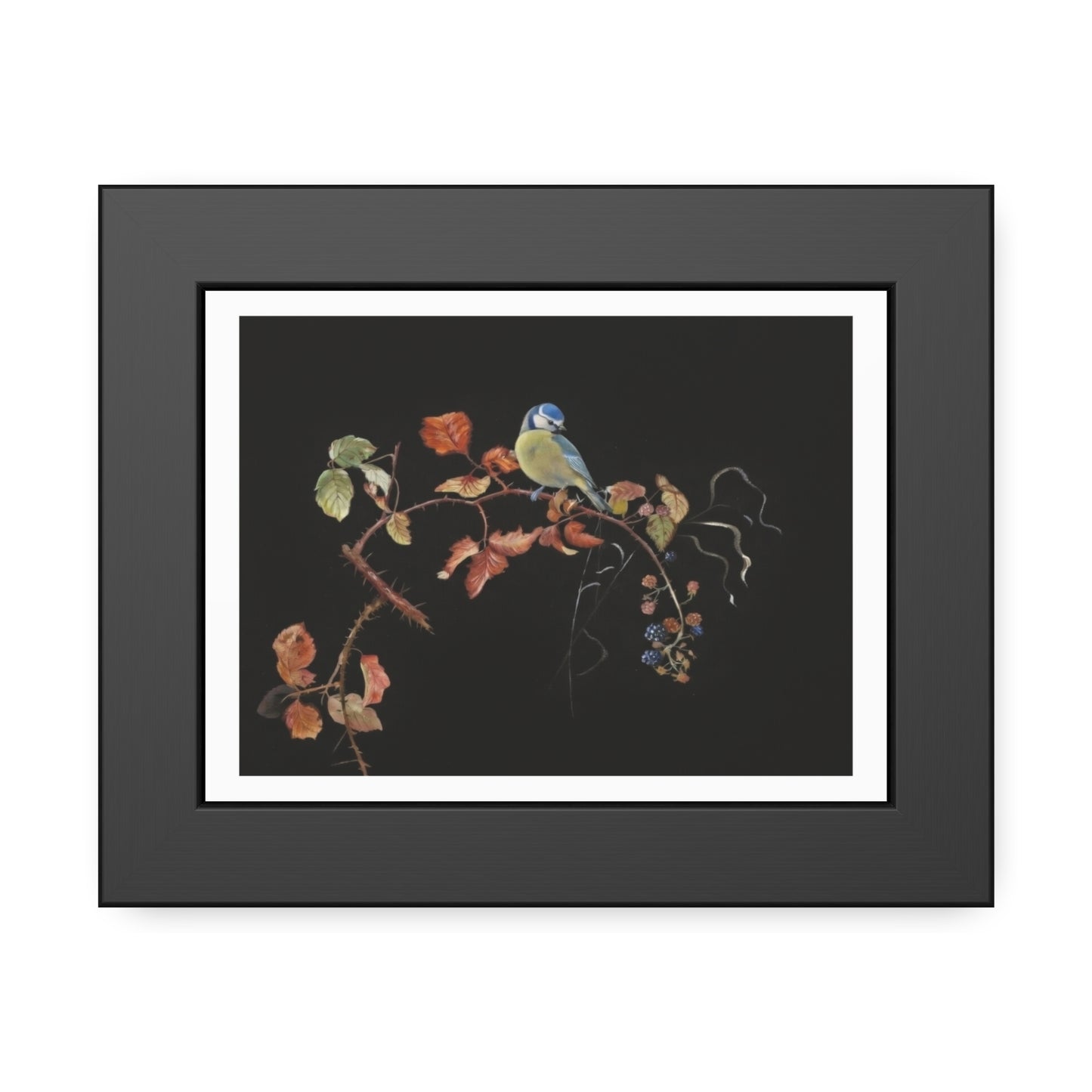 Framed Bird Print Poster — Vintage Botanical Bird Illustration on Black