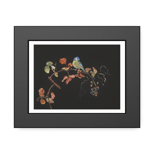 Framed Bird Print Poster — Vintage Botanical Bird Illustration on Black